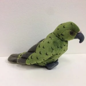 Kea Kea
