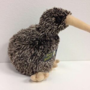 Great Spotted Kiwi
