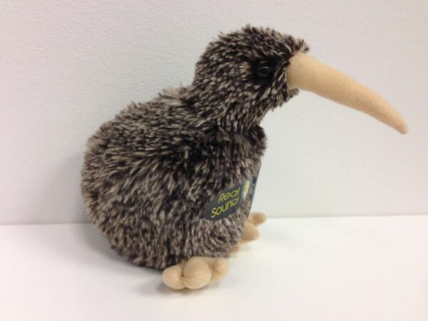 Great Spotted Kiwi