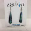 Paua Teardrop earrings