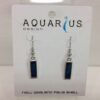 Dainty paua oblong earrings