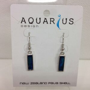 Dainty paua oblong earrings