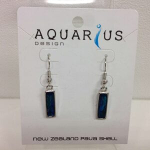 Dainty paua oblong earrings