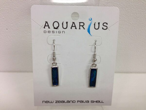Dainty paua oblong earrings