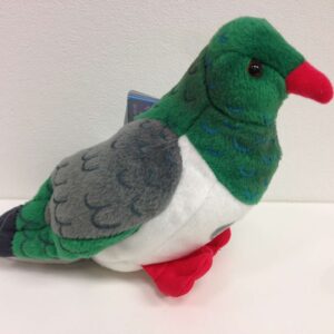 Wood pigeon
