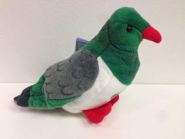 wood pigeon Wood pigeon