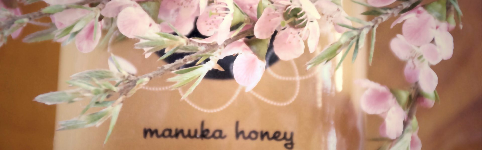Manawa Manuka Honey