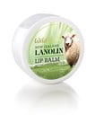 Lanolin Lip Balm