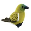 Bellbird (Korimako) with Sound Bellbird (Korimako) with Sound