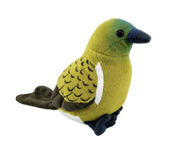 Bellbird (Korimako) with Sound Bellbird (Korimako) with Sound
