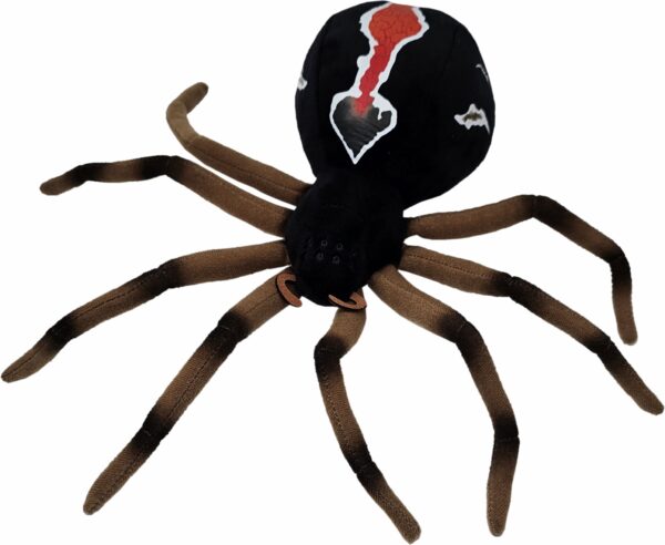 Katipo Spider